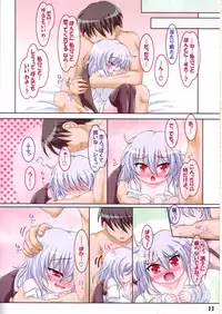 (Reitaisai 9) [Schwester (Inasaki Shirau)] Rollin 36 (Touhou Project)