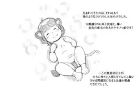 [pink-noise (Mizuiro Megane)] Futanari Eiyuu Herculena no Bouken - Tanjou Hen