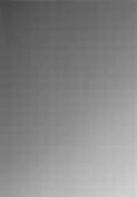 (C92) [Inarizushi (Omecho)] Give Me Chocolate