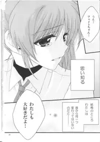[Kohakura. (Kohaku.)] Happy Cherry 2 (Mahou Shoujo Lyrical Nanoha)