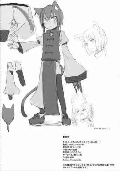 (C91) [Molossan (Morochin-san)] DokiDoki Mesuiki! Challenge!! (Various) [English] [TF translations]