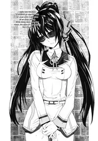 (C81) [Kouchaya (Ootsuka Kotora)] LOVE SLAVE (Infinite Stratos) [English] [VLtrans]