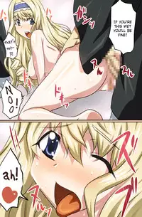 [Kameneji] In・S (Infinite Stratos) [English] =TV=