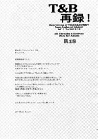 (C88) [Isshou ni Ichido! (Mokkori)] T&B Sairoku! (TIGER & BUNNY)