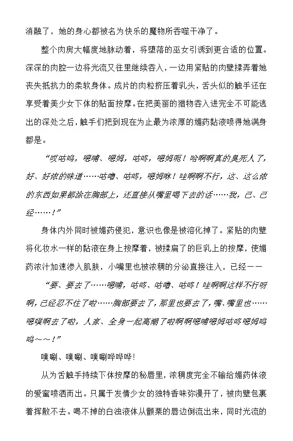 Nengoku no Liese The Novel