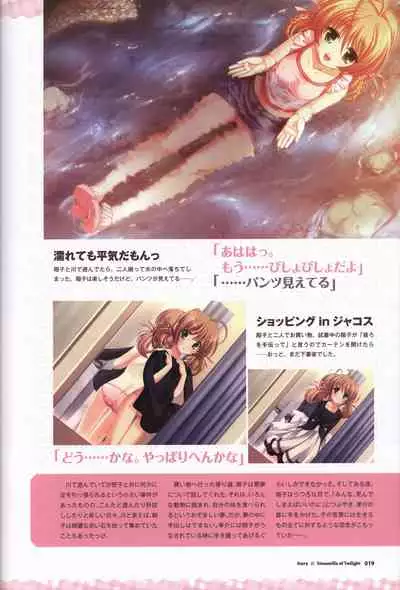 Tasogare no Sinsemilla Official Visual Fan book