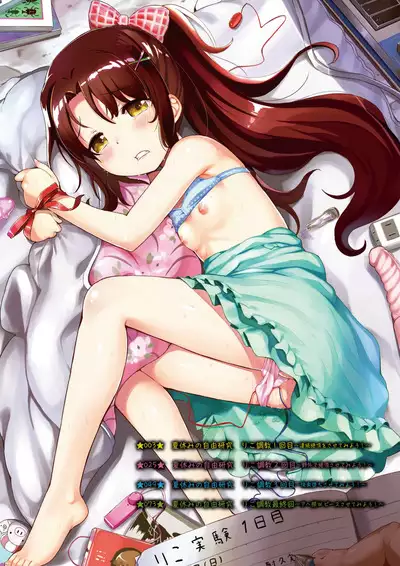 Natsuyasumi no Jiyuu Kenkyuu Soushuuhen