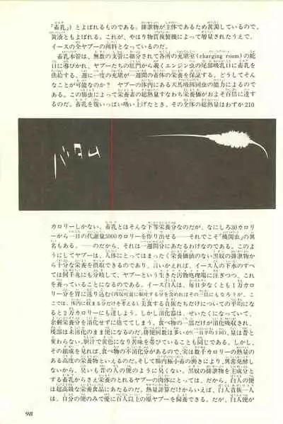 Gekiga Yapoo Shoutai