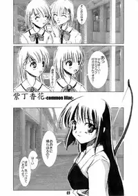 (C57) [Medical Company (Kamamura Tsukasa)] Murasaki Hashidoi