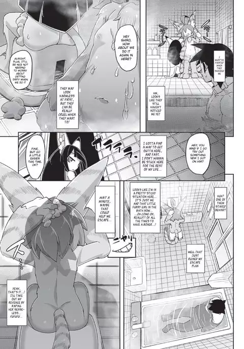 Tadashii Neko no Kawa Rekata