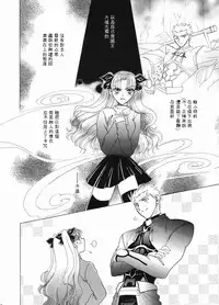 (C65) [Hanakaidou (Hanakaidou Yukio)] The Plastic Moon (Fate/stay night) [Chinese]