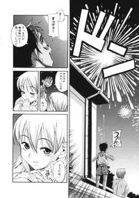 [Eromangaman] Kuwagata - The Stag Beetle