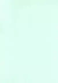 Shin Kegare CG Shuu 2