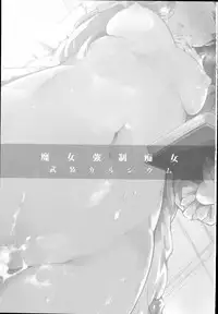 (C93) [Armament Calcium (Take Calcium)] Majo Kyousei Chijo (Touhou Project)