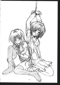 (C71) [RED RIBBON REVENGER (Makoushi)] Kuroneko no Gotoshi!? 1.5＋α (Black Cat)