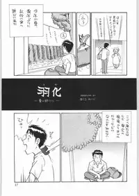 [WORKS-MARUMA (various)] ENAMEL