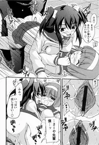 [Nippori] Daisy Blue