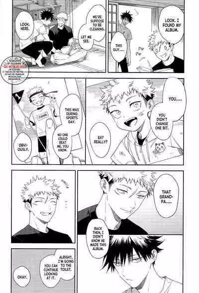 Marigold e | My Dear Marigold