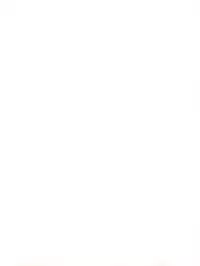 (CR35) [Gambler Club (Kousaka Jun)] Pi-Densetsu Battle Pi-Daman (Battle B-Daman)