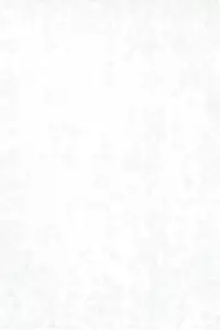 (C60) [Dennougiwa (Takano Iori)] Kokoro no Mukou ni... (Digimon Tamers)