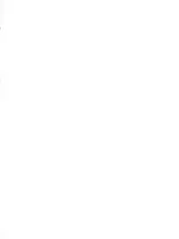 (CR35) [Gambler Club (Kousaka Jun)] Pi-Densetsu Battle Pi-Daman (Battle B-Daman)