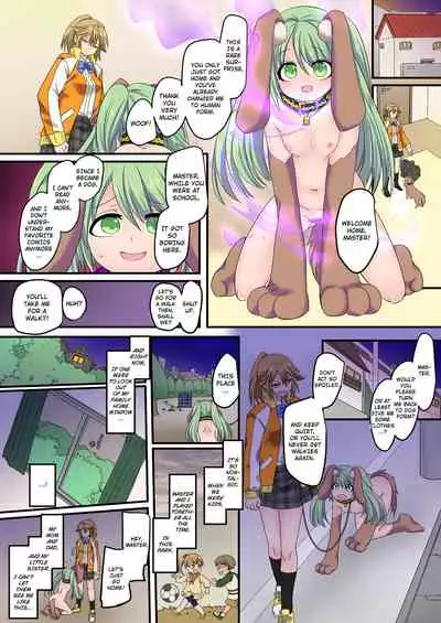 The Holy Band of the Jewel Knight