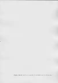 (C61) [Beastics (Mayuna Yuuma)] NIGHT CHILD (Tsukihime)