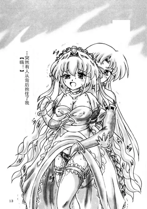 Maid no Arbeit wo Shitara Taihen na Koto Ni Natta Ken