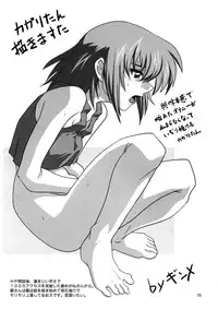 (C64) [Combat Mon-Mon] Bloom (Gundam Seed)