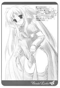 (C75) [Parufe (Hayashi Sakura)] Binde Liebe (Mahou Shoujo Lyrical Nanoha)