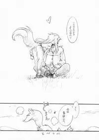 (C76) [Hinaprin (Ikuta Takanon)] Ookami no Soukessan (Spice and Wolf)