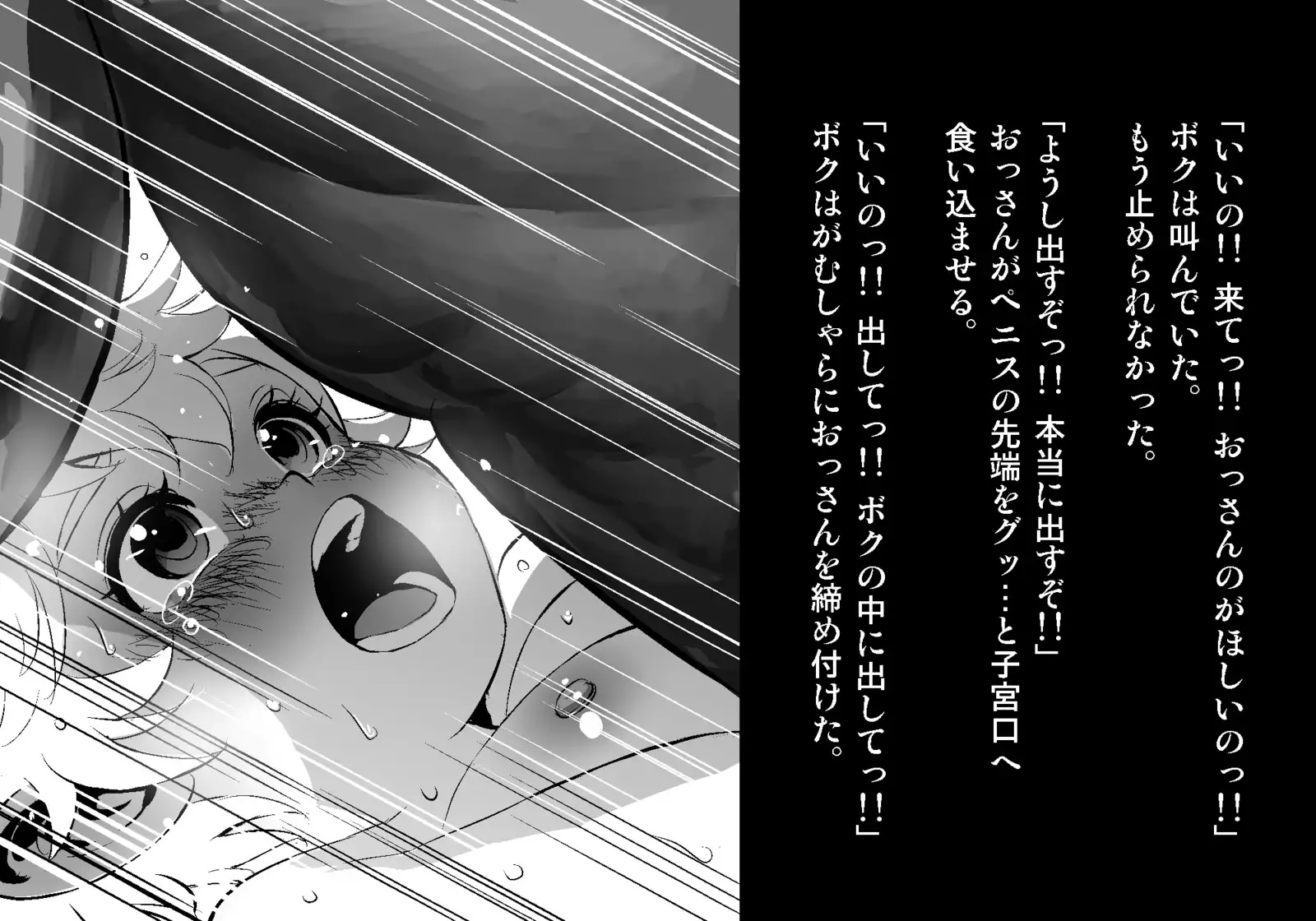 フェアリーセティ