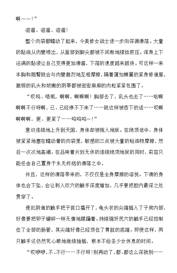 Nengoku no Liese The Novel