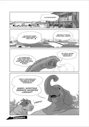 The Estate in Estrus | Los Departamentos del Celo