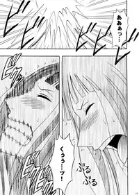 [Crimson Comics (Carmine)] Robin Hard (One Piece)