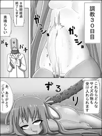 [Hinoiti] Taimanin VS Yukikaze Choukyou Kiroku (Taimanin Yukikaze)