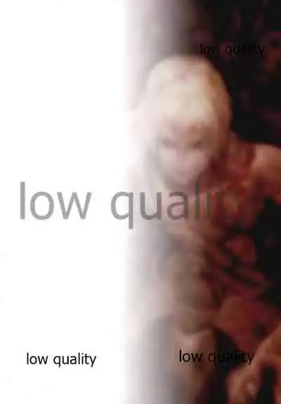 Fate/stay night Illust Shuu "Usuyami"