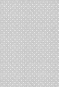 (Shiromusume Musou 7) [allo (Nagashiro Rouge)] Kyou mo Tsuyoku Naru. (Oshiro Project)