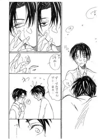 (FALL OF WALL3) [Meru (mario)] Letter (Shingeki no Kyojin)