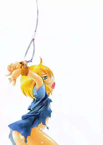 Toraware Hime Soushuuhen