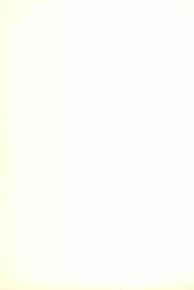 Hitosujinawa SPECIAL Ruri Ruri? Soushuuhen Kanzenban