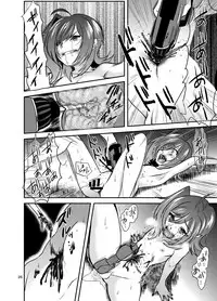 (SC2016 Winter) [Celsius (Torikawa)] Tonketsu (Cardfight!! Vanguard)