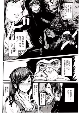 Kemono DIRECT 4 （MD komikkusu NEO）komikku - adaruto，20161027