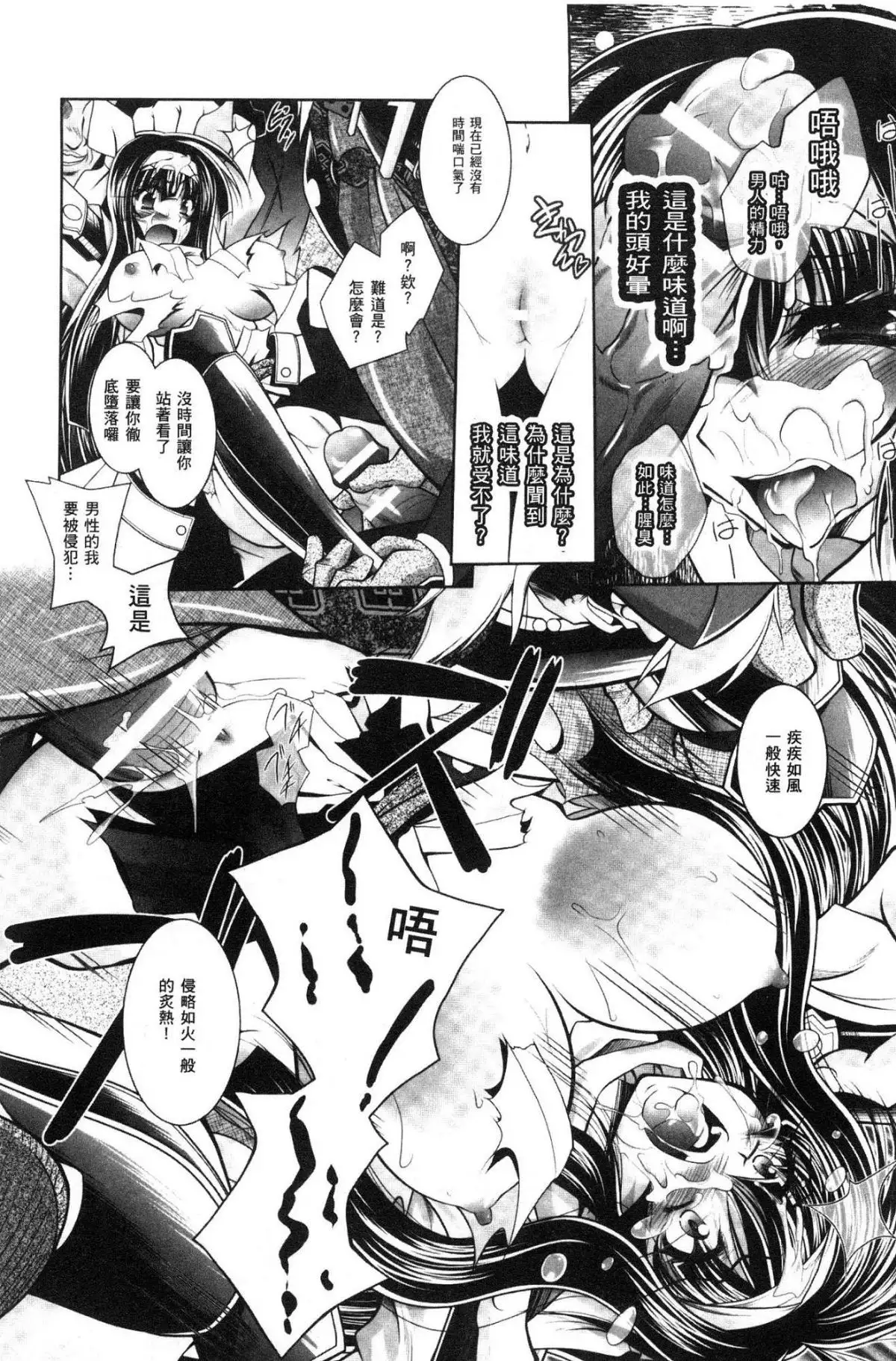 Fallen Justice -Seigi Shittsui-