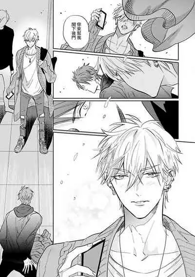 Burlesque Night | 艳舞荒诞夜 1-4