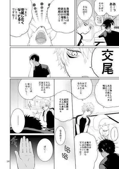 Tanuki to Kitsune no H na Obenkyou