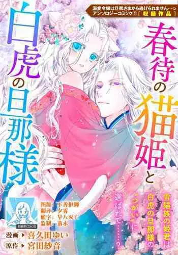 Haru machi no neko hime to byakko no dan'na-sama | 待春的猫公主与白虎的夫君