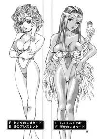 [Houruri] Hime Hajime (Dragon Quest) [Digital]