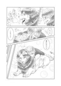 [Yakanusu] my little littlr cat