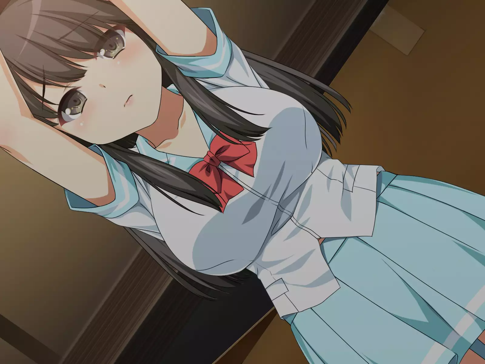 Flesh Holes That Can't Resist ~Schoolgirls Bound At Night~